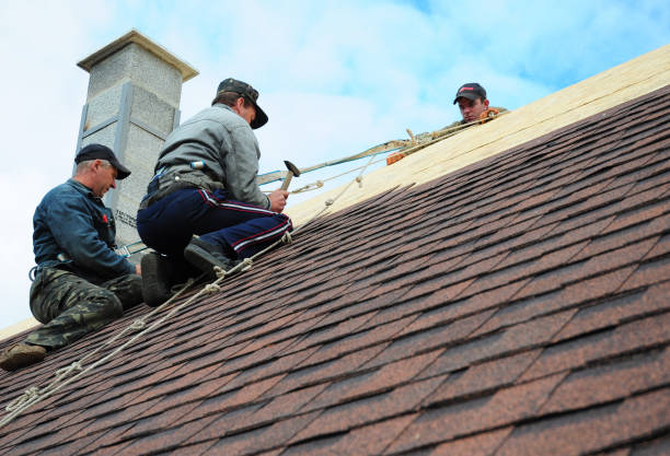 Best New Roof Installation  in Waverly, OH
