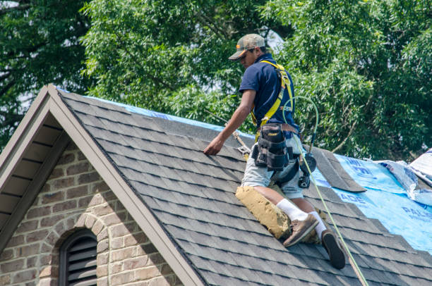 Best Residential Roofing Contractor  in Waverly, OH